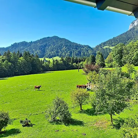 Lanzinger By Interhome Holiday home Soll